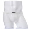 -1098501969-519546427 Bóxer Masculino de Malla Blanco | Talla M/L · ZONAG Chile