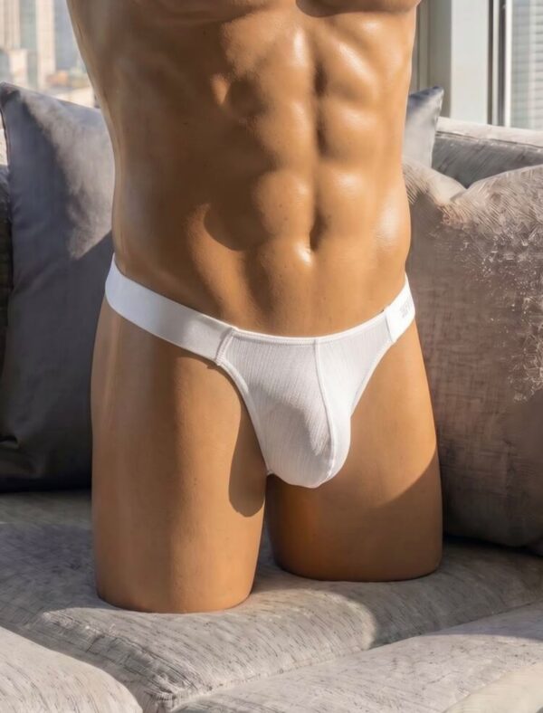 Sunga-Sutien-tanga-Chile-Santiago-Maipu Tanga masculina blanca de cintura ancha · Talla M/L