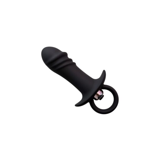 dilatador-anal-vibrador-silicona-maipu-chacabuco-santiago-chile Plug anal con aro de extracción · Talla M